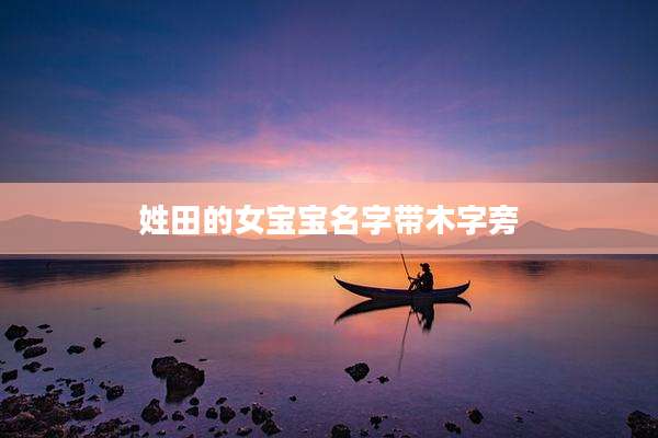 姓田的女宝宝名字带木字旁