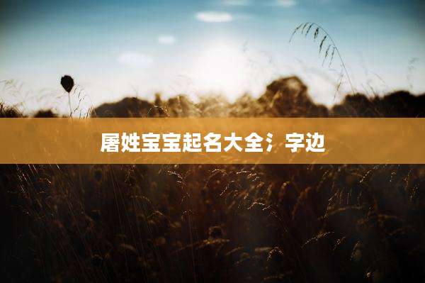 屠姓宝宝起名大全氵字边