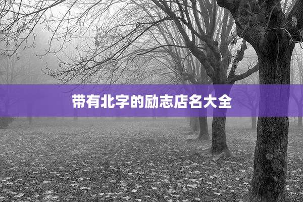 带有北字的励志店名大全