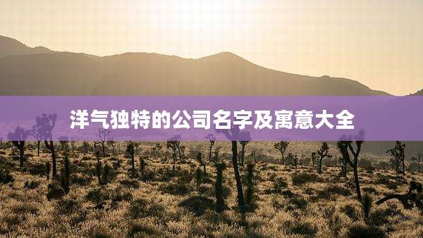 洋气独特的公司名字及寓意大全