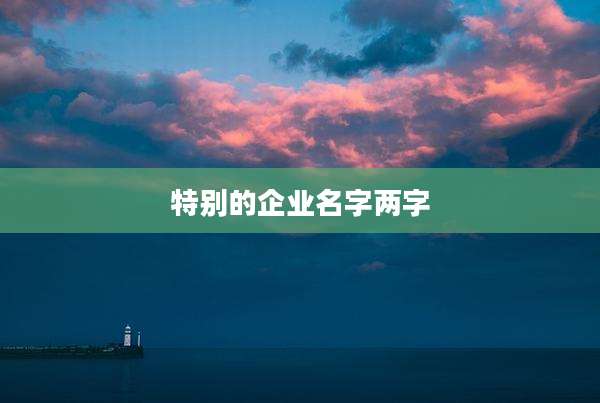 特别的企业名字两字