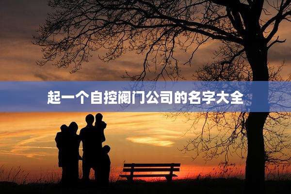 起一个自控阀门公司的名字大全