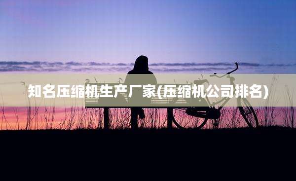 知名压缩机生产厂家(压缩机公司排名)
