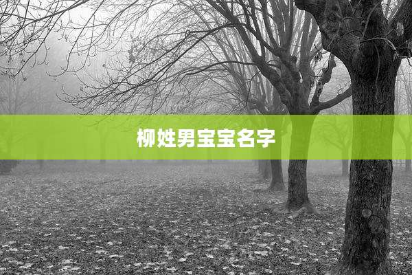 柳姓男宝宝名字