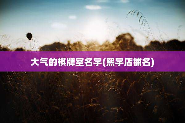大气的棋牌室名字(熙字店铺名)