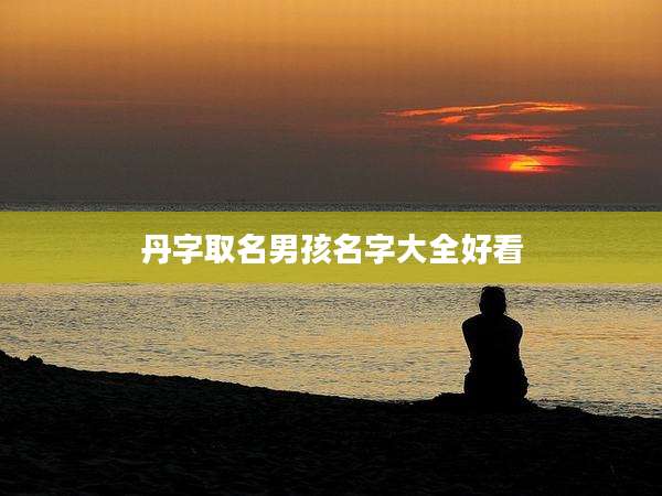 丹字取名男孩名字大全好看