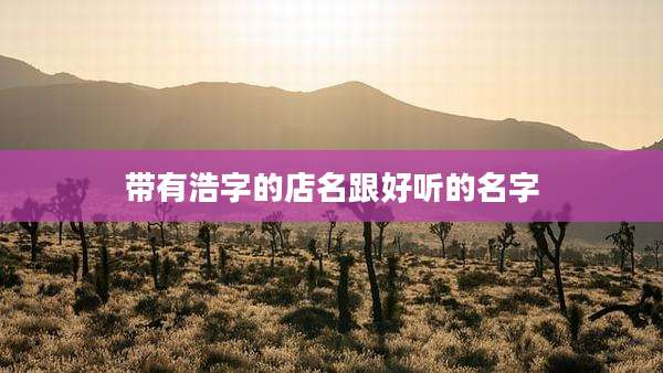 带有浩字的店名跟好听的名字