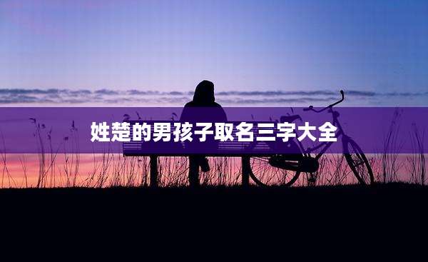 姓楚的男孩子取名三字大全