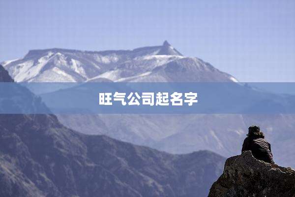 旺气公司起名字