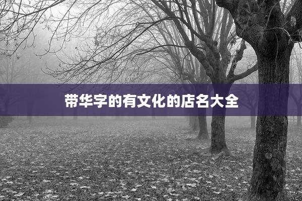 带华字的有文化的店名大全