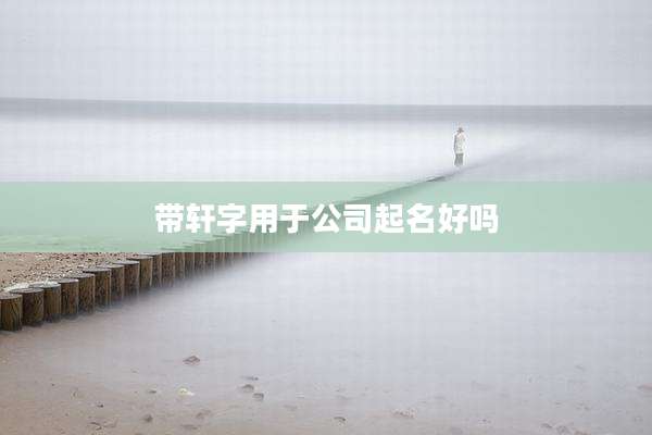 带轩字用于公司起名好吗