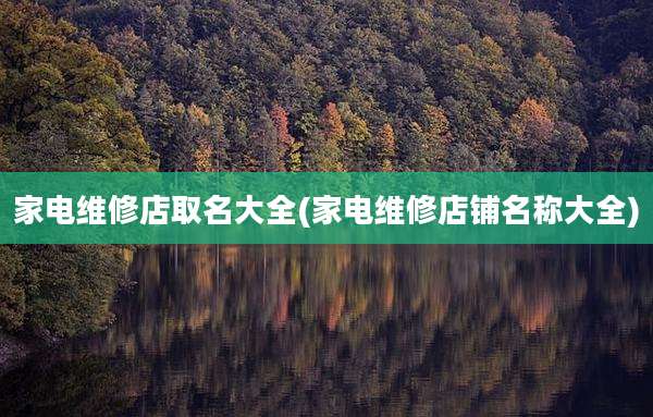 家电维修店取名大全(家电维修店铺名称大全)
