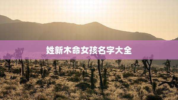 姓新木命女孩名字大全