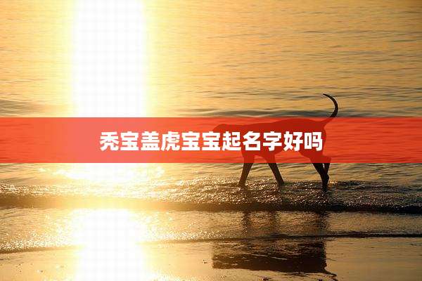 秃宝盖虎宝宝起名字好吗