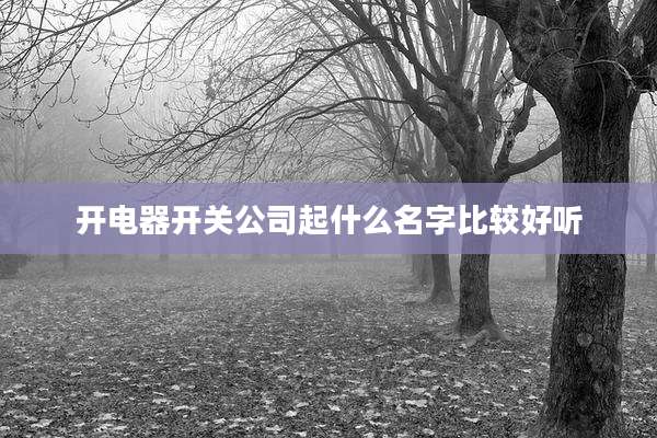 开电器开关公司起什么名字比较好听