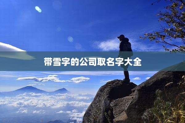 带雪字的公司取名字大全