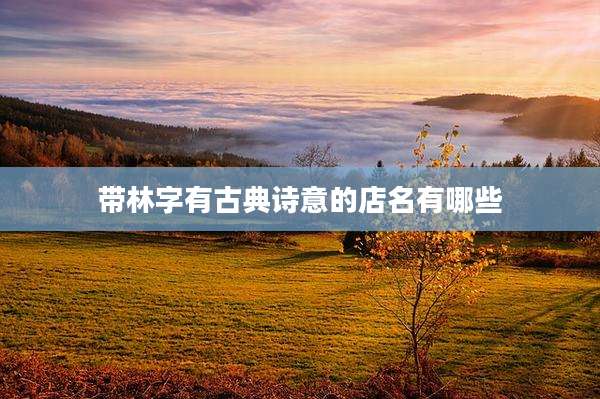 带林字有古典诗意的店名有哪些