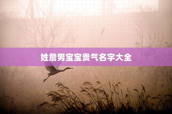 姓詹男宝宝贵气名字大全
