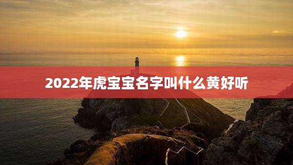 2022年虎宝宝名字叫什么黄好听