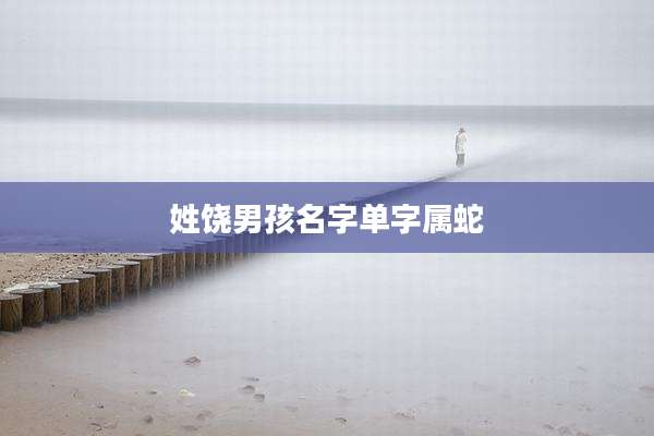 姓饶男孩名字单字属蛇