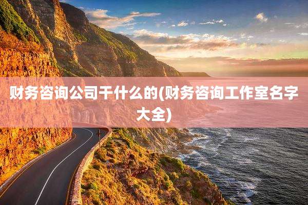 财务咨询公司干什么的(财务咨询工作室名字大全)
