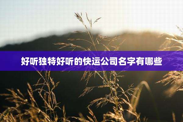 好听独特好听的快运公司名字有哪些
