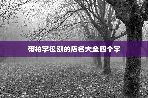 带柏字很潮的店名大全四个字