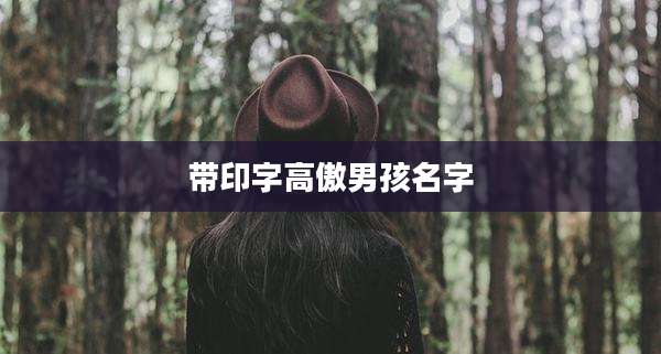 带印字高傲男孩名字