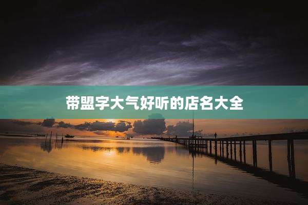带盟字大气好听的店名大全