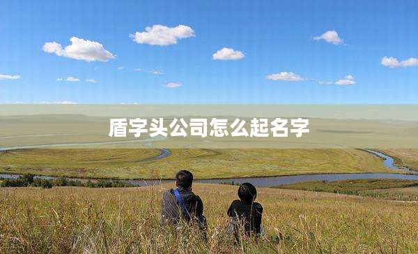 盾字头公司怎么起名字
