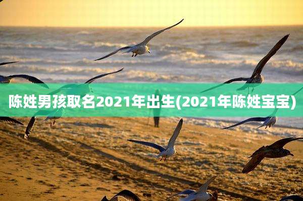 陈姓男孩取名2021年出生(2021年陈姓宝宝)