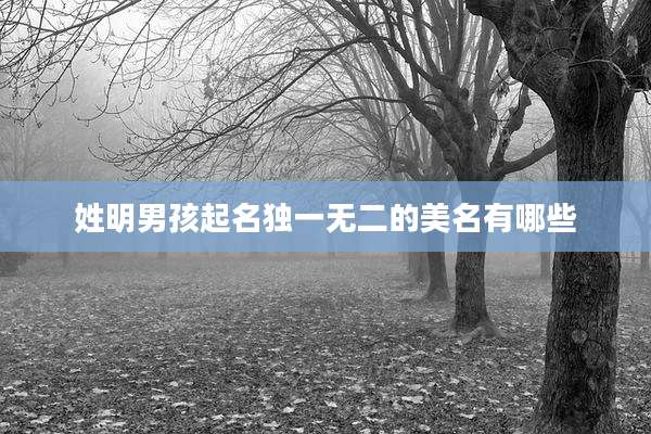 姓明男孩起名独一无二的美名有哪些
