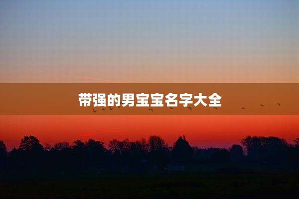 带强的男宝宝名字大全