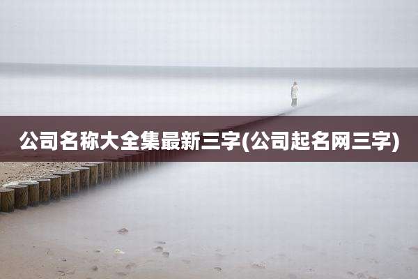 公司名称大全集最新三字(公司起名网三字)