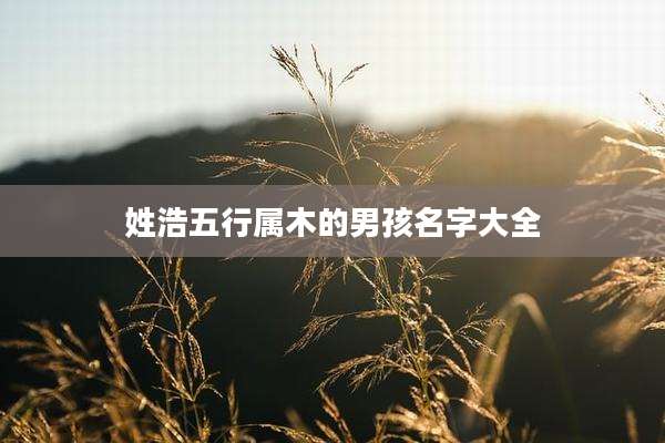 姓浩五行属木的男孩名字大全