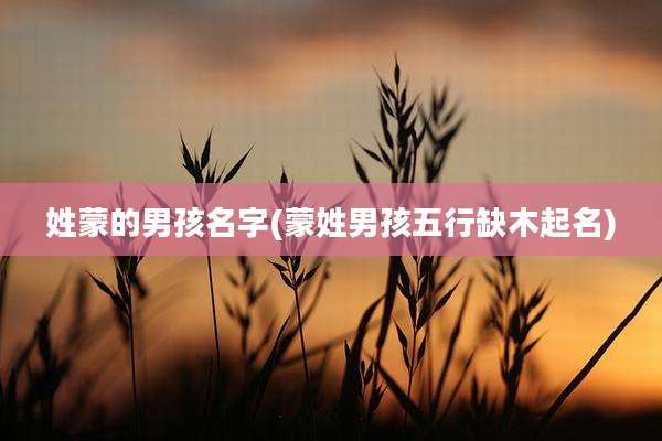 姓蒙的男孩名字(蒙姓男孩五行缺木起名)