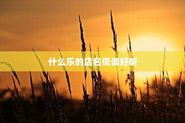什么乐的店名低调好听