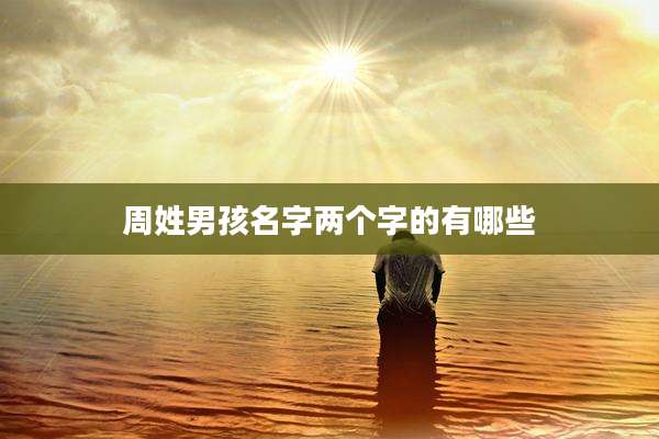周姓男孩名字两个字的有哪些