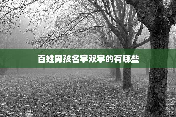 百姓男孩名字双字的有哪些