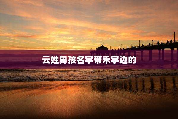 云姓男孩名字带禾字边的