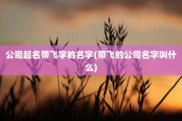 公司起名带飞字的名字(带飞的公司名字叫什么)