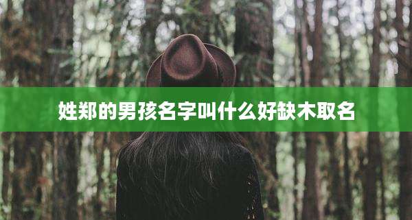 姓郑的男孩名字叫什么好缺木取名