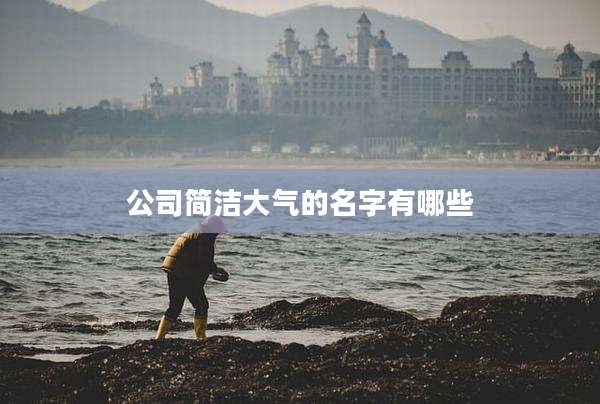 公司简洁大气的名字有哪些