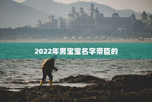 2022年男宝宝名字带臣的