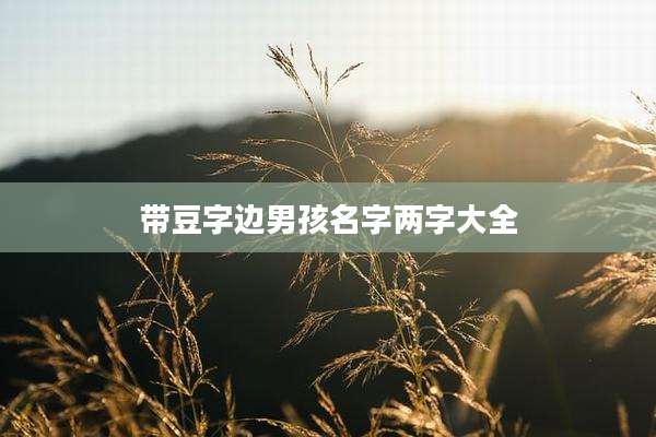 带豆字边男孩名字两字大全