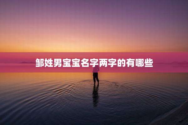 邹姓男宝宝名字两字的有哪些