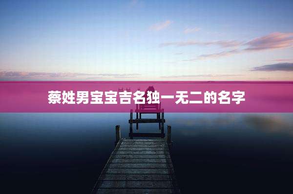 蔡姓男宝宝吉名独一无二的名字