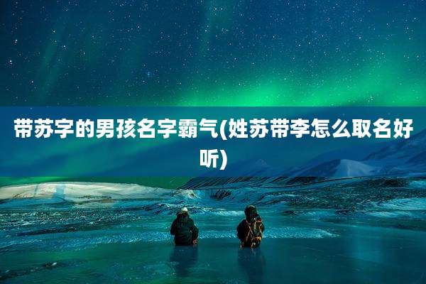 带苏字的男孩名字霸气(姓苏带李怎么取名好听)