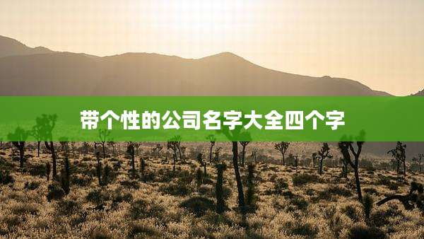 带个性的公司名字大全四个字