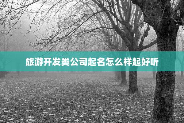 旅游开发类公司起名怎么样起好听